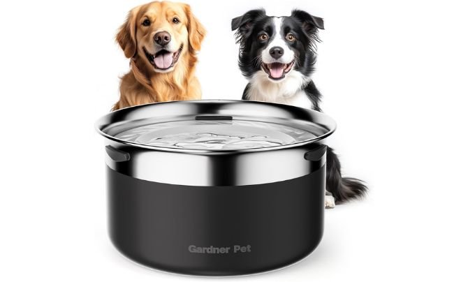 Gardner Pet Dog Bowls – Best for Healthy Hydration