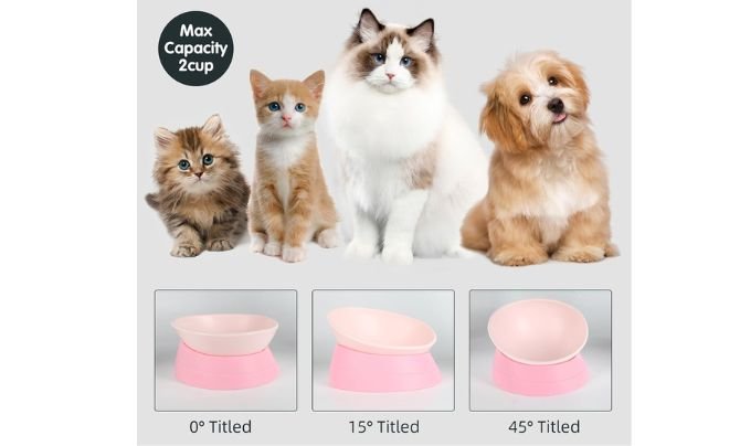 JWPC Bulldog Bowl Anti-Slip Tilted Dish