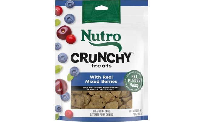 Nutro Crunchy Dog Treats with Real Mixed Berries – Best Overall Pick