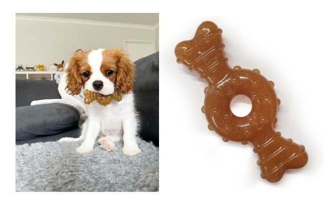 Nylabone Ring Bone Chew Toy for Puppies