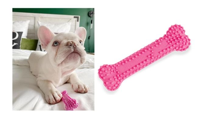 Nylabone Textured Teething Bone