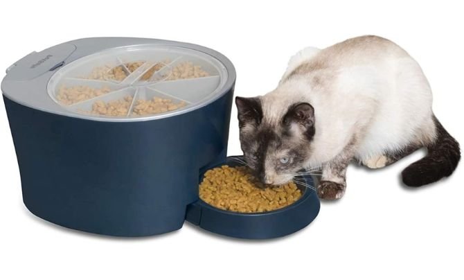 PetSafe 6 Meal Automatic Cat Feeder Review