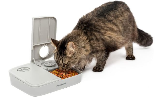 PetSafe Analog 2 Meal Programmable Pet Feeder