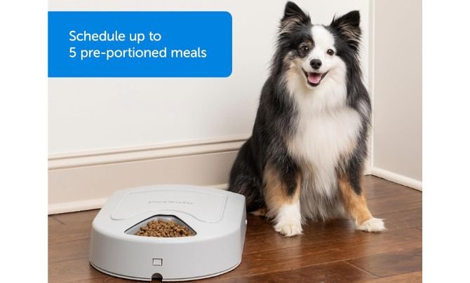 PetSafe Automatic Dog Feeder