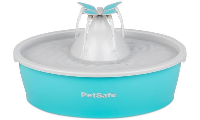 PetSafe Butterfly Fountain for Cats & Small Dogs Review