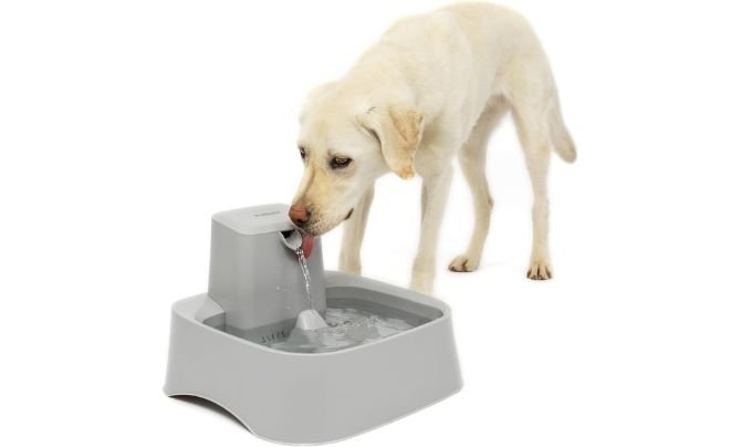 PetSafe Drinkwell 2-Gallon Pet Fountain Review