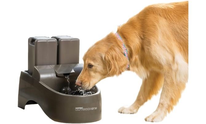 PetSafe Drinkwell Outdoor Dog Water Fountain Review