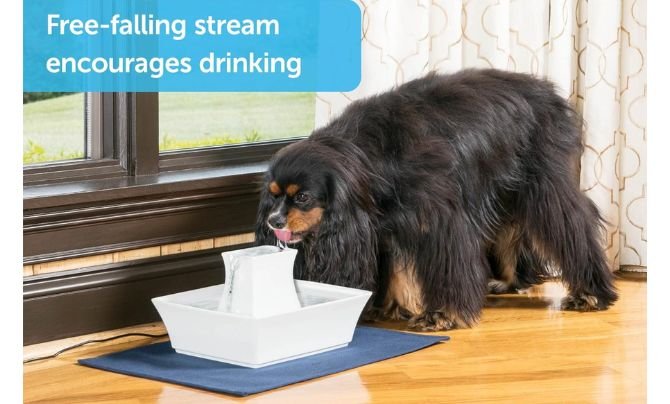 PetSafe Drinkwell Pagoda Fountain Review 1