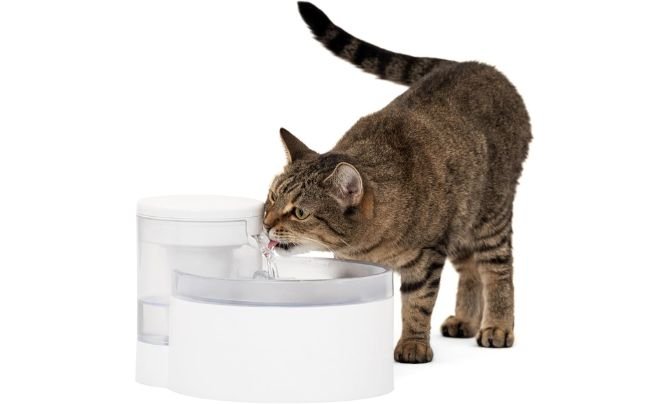 PetSafe Outlast Pumpless Cat Water Fountain 60 oz/1.7L