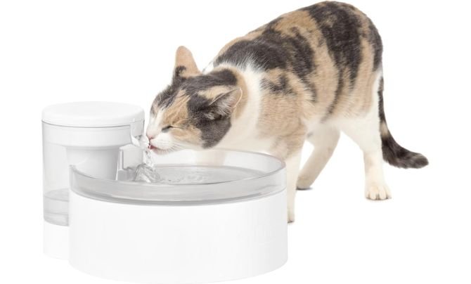 PetSafe Outlast Pumpless Cat Water Fountain Review