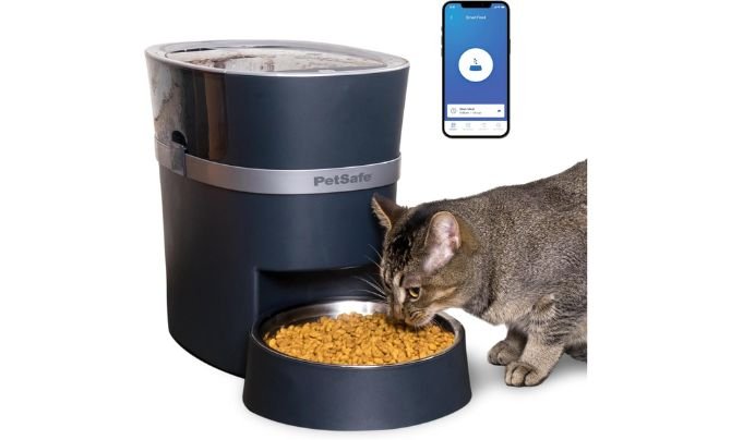 PetSafe Smart Feed Automatic Pet Feeder Review