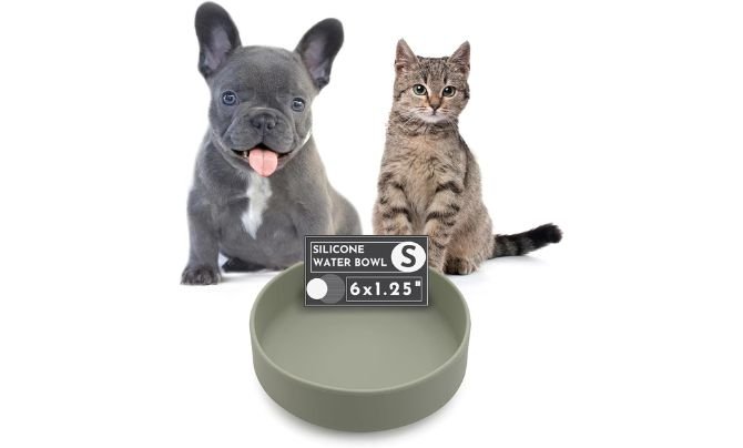 The Perfect Dish – Best Non-Tippable Silicone Bowl