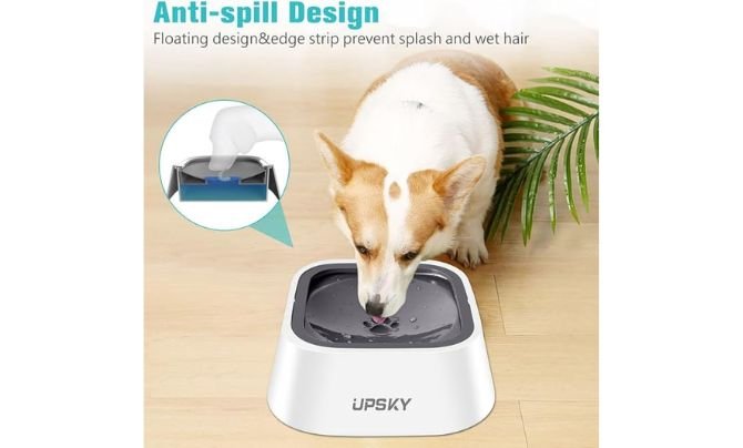 UPSKY No-Spill Pet Water Bowl – Best for Slow Drinking