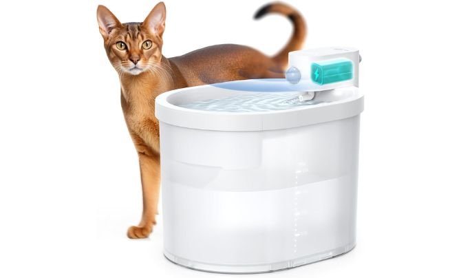 uahpet Cat Water Fountain, Wireless & Battery Operated 2L/67oz