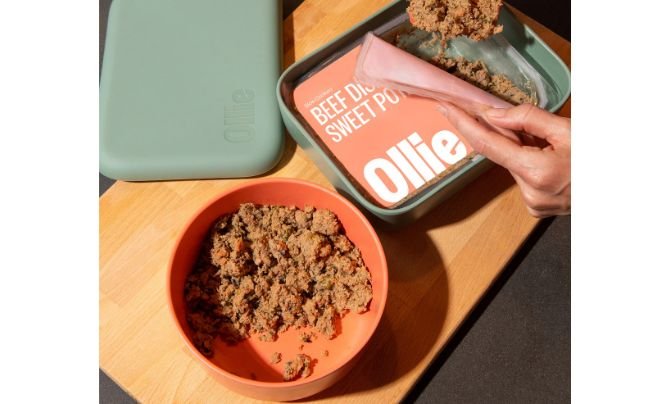 Ollie — Best Value Fresh with a Standout Food-Safety Program
