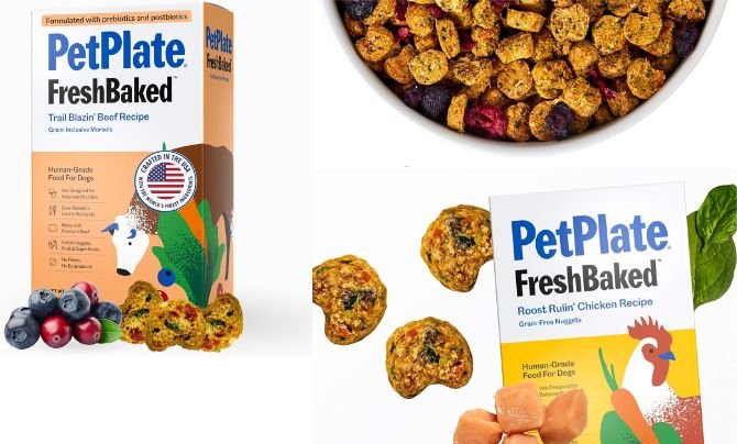 PetPlate — Best for Picky Eaters & Recipe Diversity