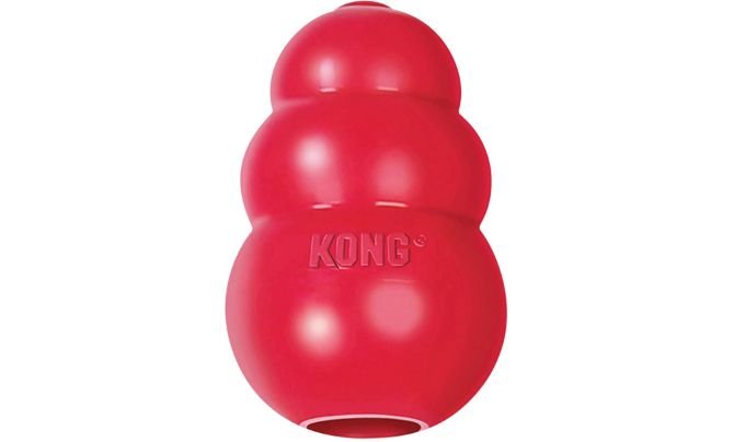 4. Best Enrichment Toy – KONG Classic Dog Toy
