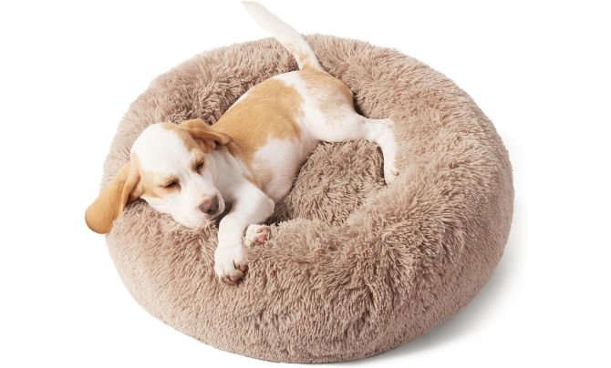 Bedsure Calming Donut Bed - Essential Supplies for New to Dog Parenting