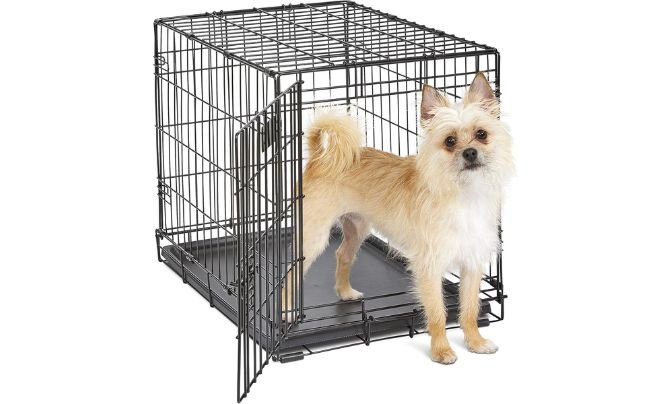 Best Crate for Newly Adopting a Rescue Dog – MidWest Homes iCrate