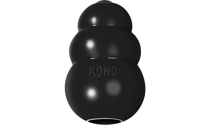Best Overall: KONG Extreme Dog Toy