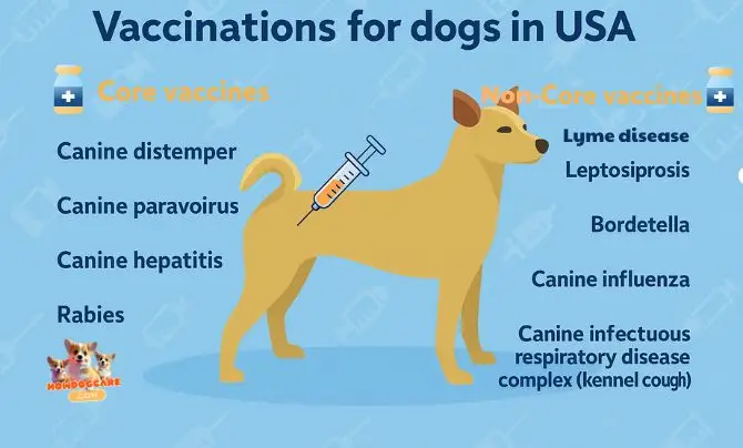 Core vs. Non-Core Vaccines for Puppies - Puppy Vaccination Schedule with Printable Chart 1