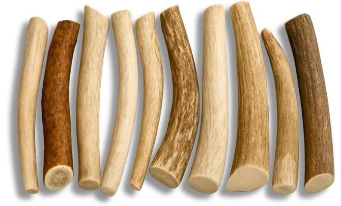 Deer Antlers for Dogs - Best Chew Toys for Aggressive Chewers
