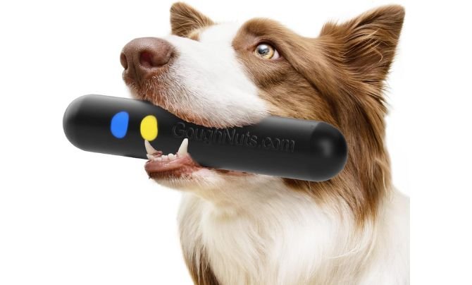 Goughnuts MAXX Chew Toy - Best Chew Toys for Aggressive Chewers