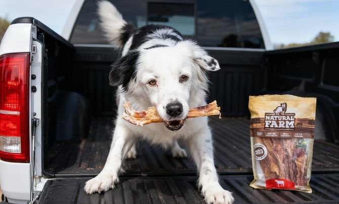 Natural Farm Odor Free Jumbo Bully Sticks