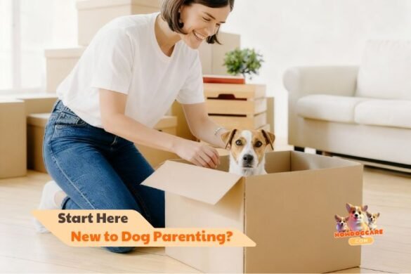 New to Dog Parenting