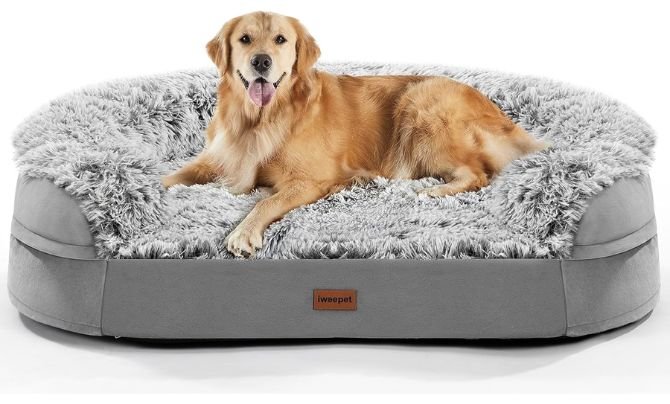 iweepet 3.7 inch Thickened Orthopedic