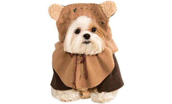 Best Dog Costumes for Halloween – Rubie's Star Wars Ewok Costume