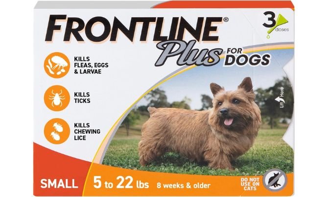 Best Flea and Tick Prevention for Puppies