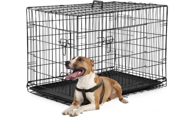 Best Large Dog Crate for Active Breeds
