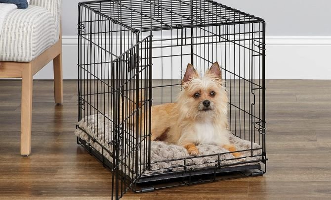 Best Small Dog Crate for Apartment Living