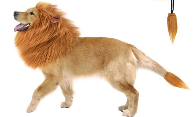 Lion Mane Wig