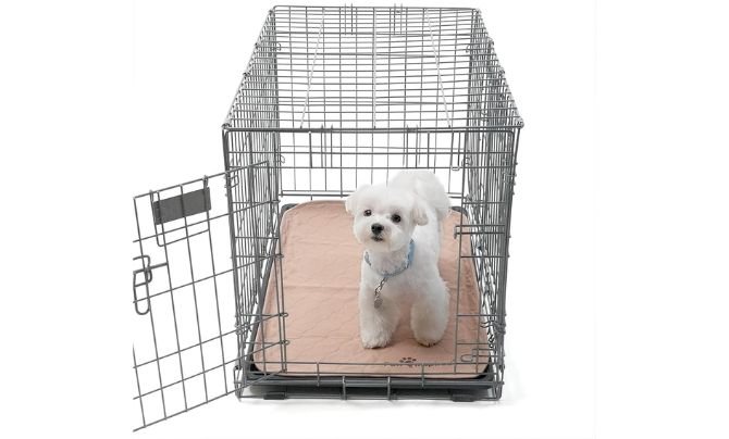 Paw Inspired Washable Crate Liners