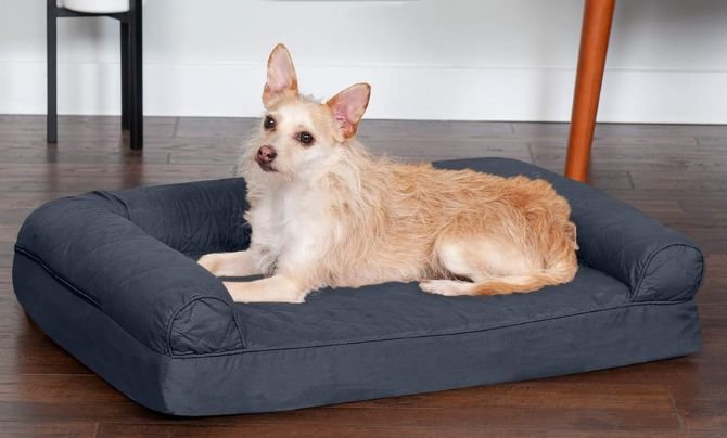 Puppy Essentials – Best Puppy Beds for Cozy Sleep