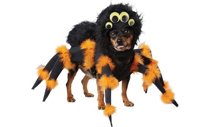 Spider Pup Costume