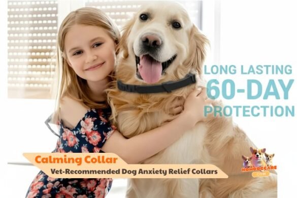 Best Calming Collar for Dogs – Vet-Recommended Dog Anxiety Relief Collars