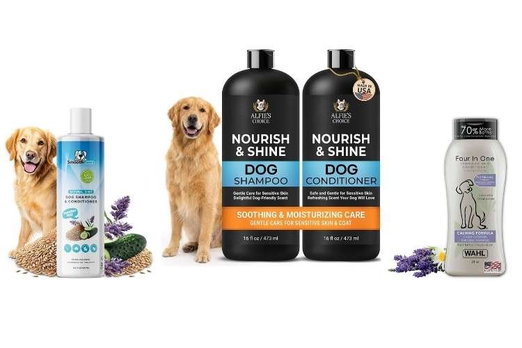 Best 2-in-1: Moisturizing Shampoo and Conditioner for Matted, Itchy Coats