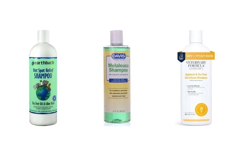 Best Natural Alternative: Tea Tree and Neem Oil Purifying Wash