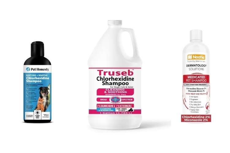Best Veterinary Strength: Chlorhexidine Medicated Shampoo for Infections