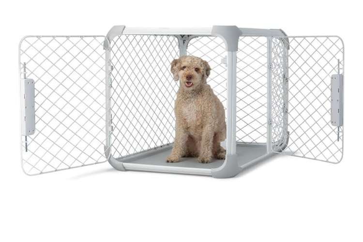 Diggs Evolv Slim Folding Dog Crate (Best Space-Saving Design)