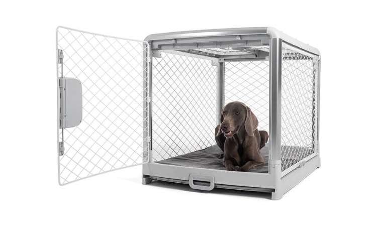 Diggs Revol Collapsible Dog Crate (Best Premium Foldable Crate)