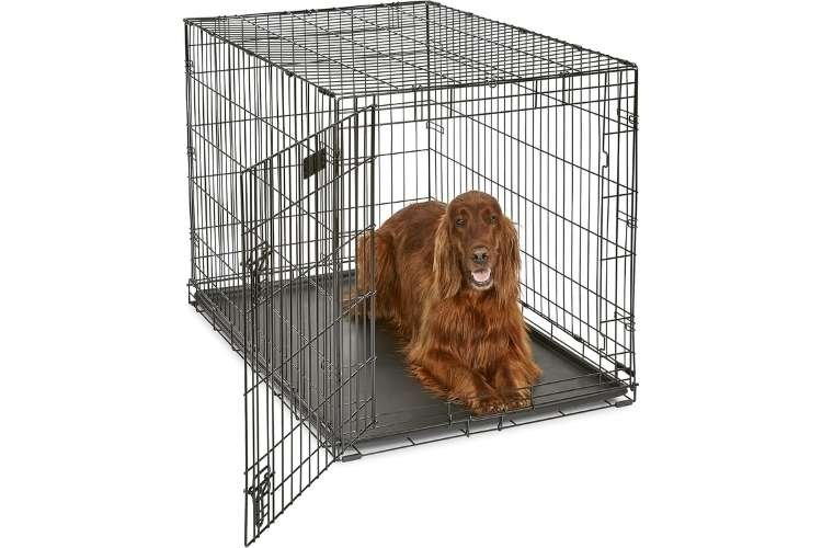 MidWest Homes for Pets iCrate Folding Metal Dog Crate