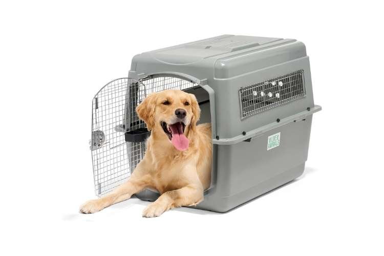 Petmate Sky Kennel Heavy-Duty Pet Carrier (Best for Air Travel)