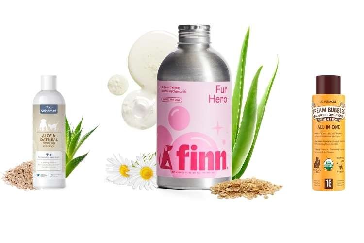 Best Dog Shampoos for Itchy Skin: Soothing Colloidal Oatmeal and Aloe Vera Formula
