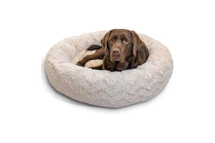 Best Friends by Sheri The Original Calming Donut Dog Bed (Best for Anxiety Relief)