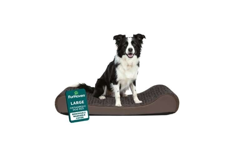 Furhaven Orthopedic Contour Lounger (Best Ergonomic Design)